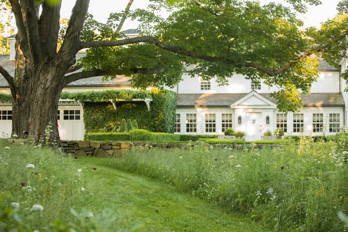 naturallegacy_01_meadow.jpg